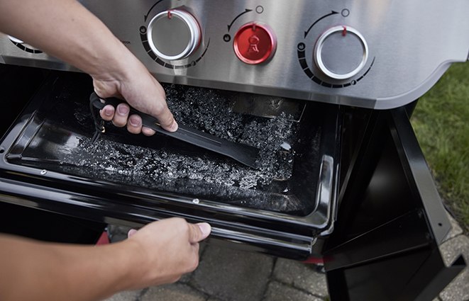 Weber Genesis